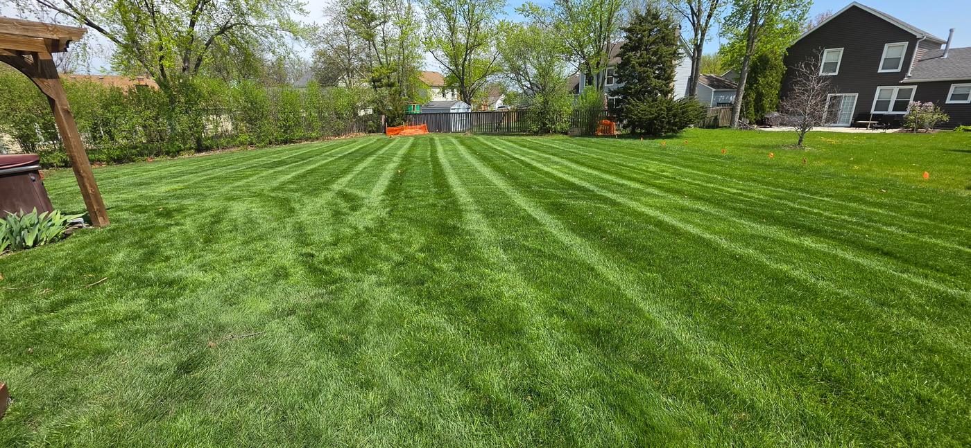 The same back lawn mown with clean, even stripes