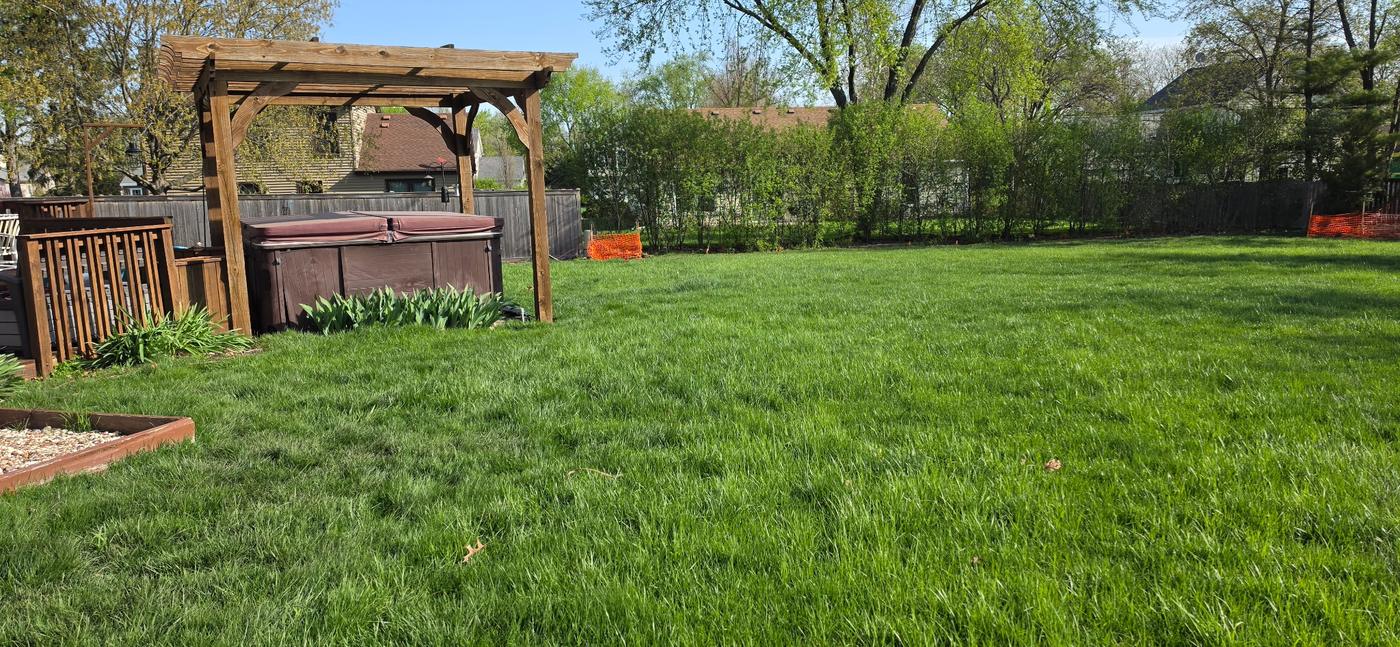 Back lawn with long, overgrown grass beside a wooden pergola and hot tub
