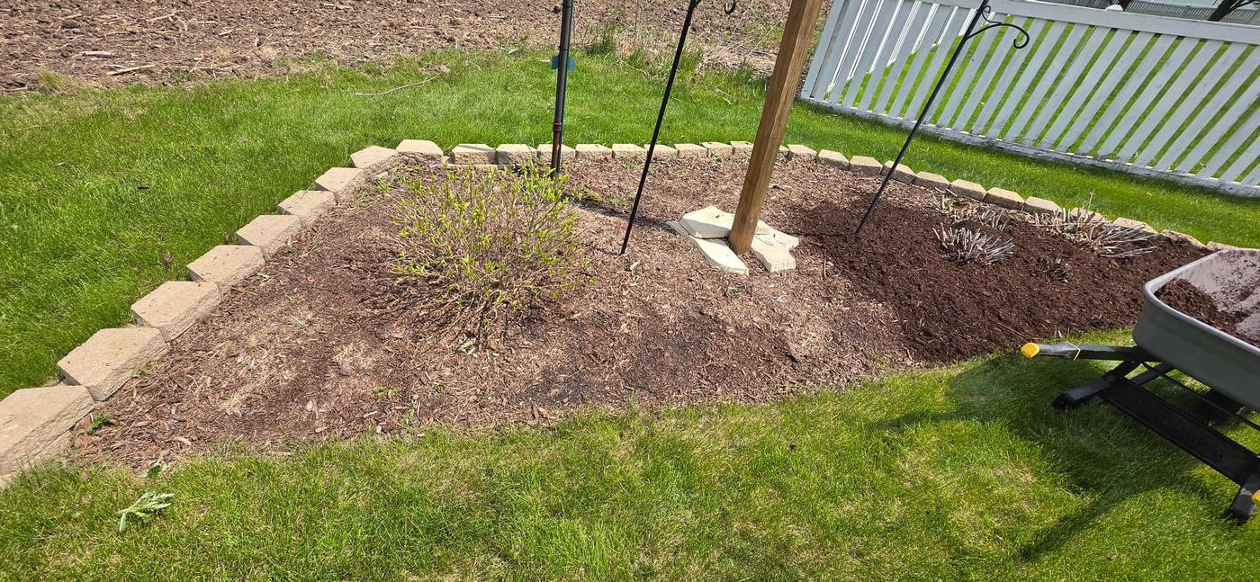 Stone-bordered garden bed with bare, patchy soil and a wheelbarrow alongside