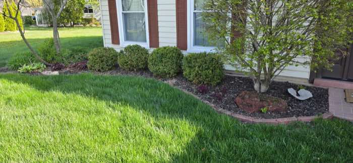 Front garden bed with overgrown grass and faded mulch along a brick edge