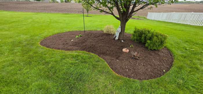The same bed filled with fresh dark mulch and a crisp cut edge