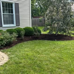 Front yard edging and mulch work