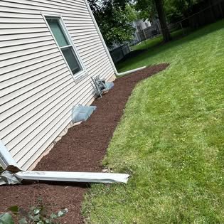 Side yard bed with clean edging