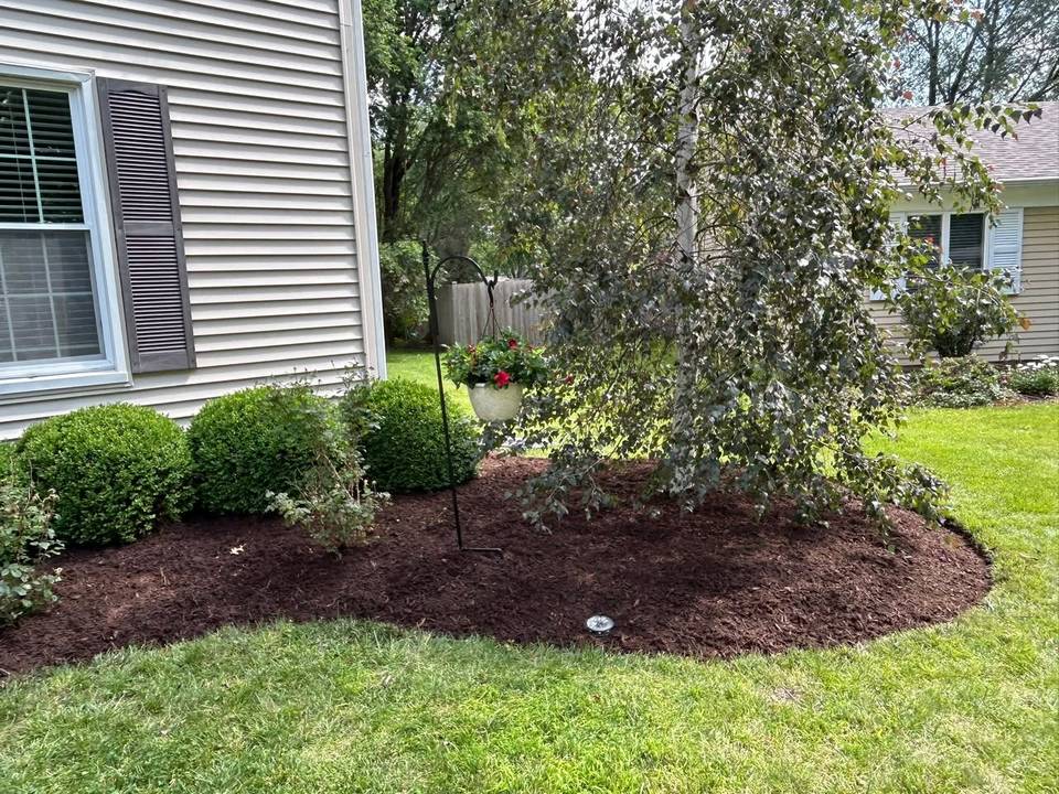 Tree bed with fresh dark mulch