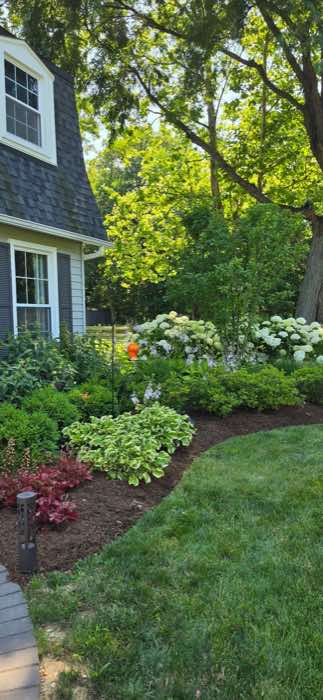 Curved mulch bed with layered perennials beside a home