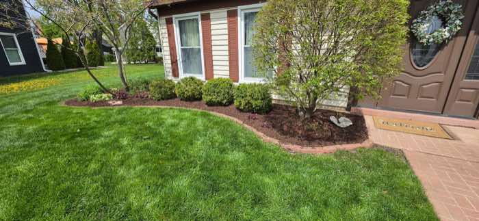 Front foundation bed with trimmed shrubs and fresh mulch