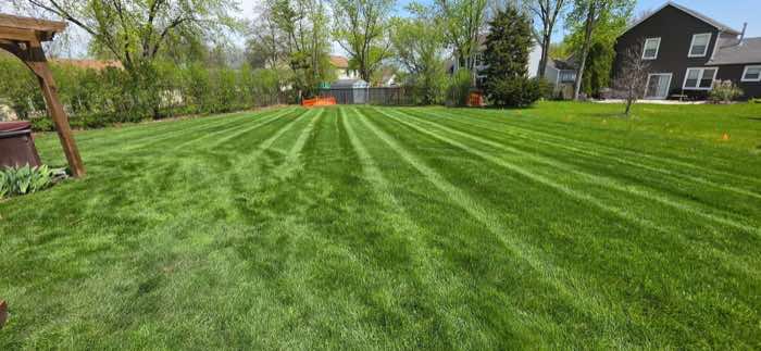 Freshly mown lawn showing mowing stripes