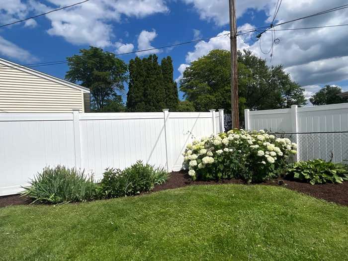 Mulch bed beside a mown lawn